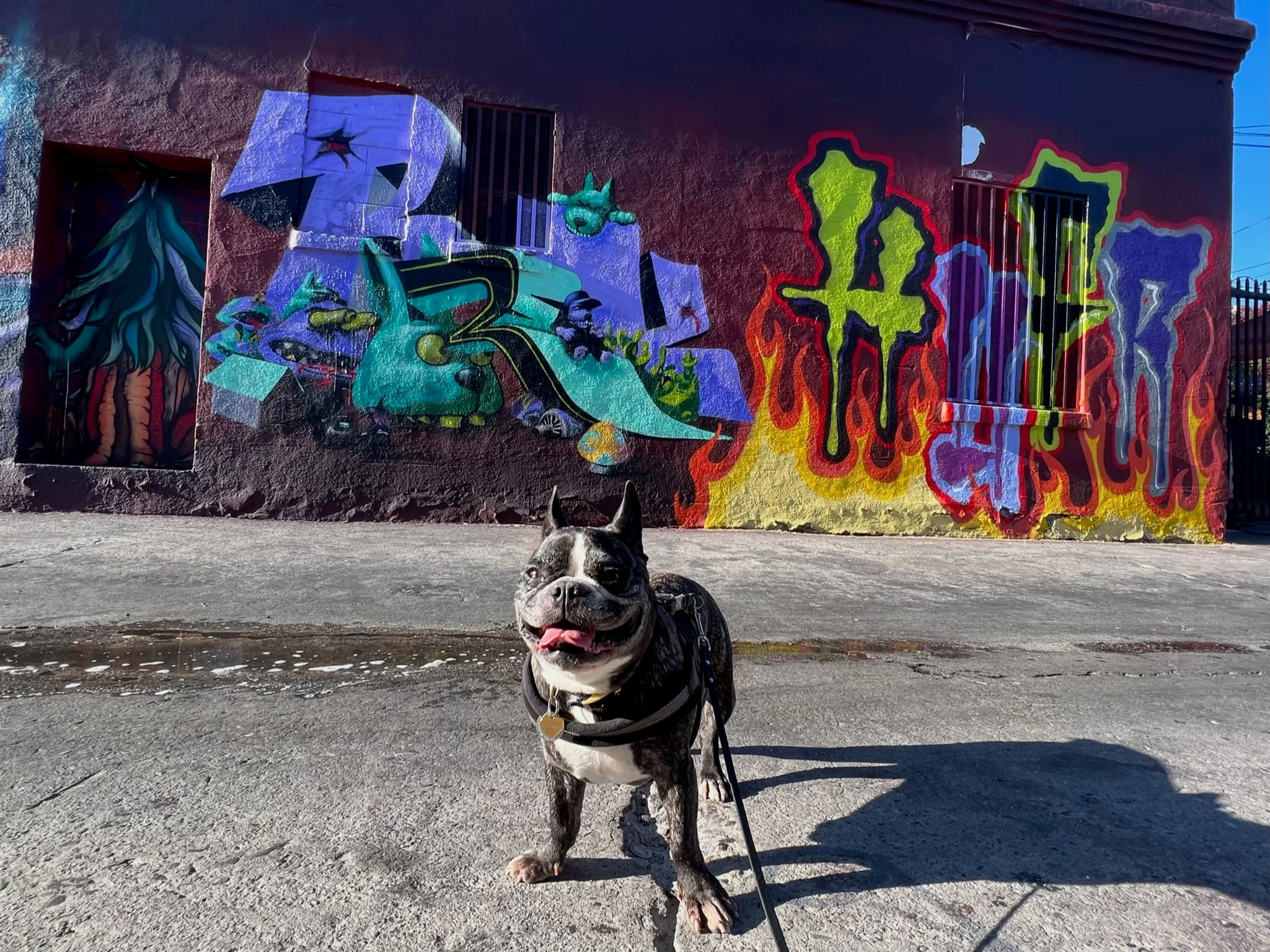 Maddie standing in front of street art in Arts District, Los Angeles