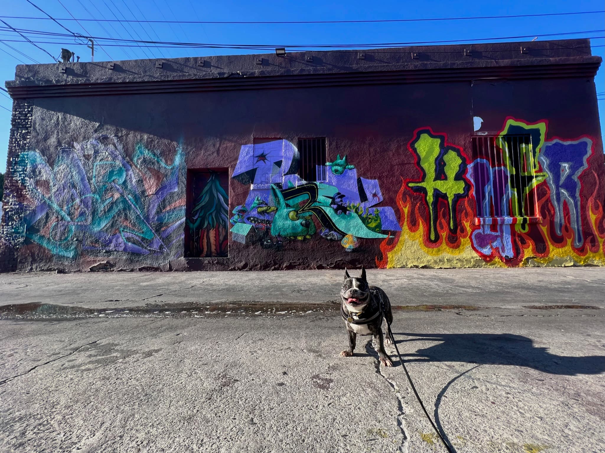 Maddie standing in front of street art in Arts District, Los Angeles