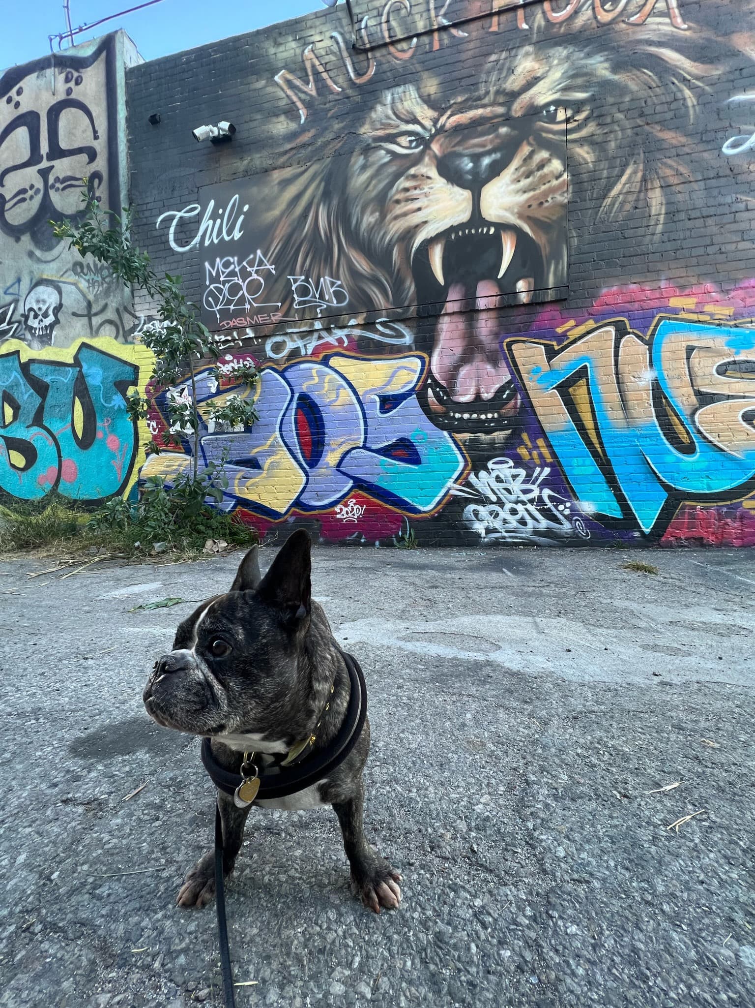 Maddie standing in front of street art in Arts District, Los Angeles