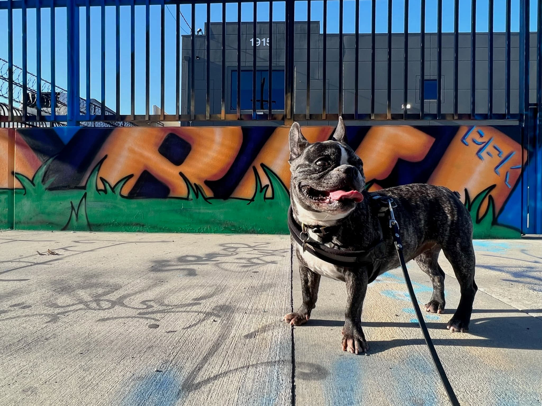Maddie standing in front of street art in Arts District, Los Angeles