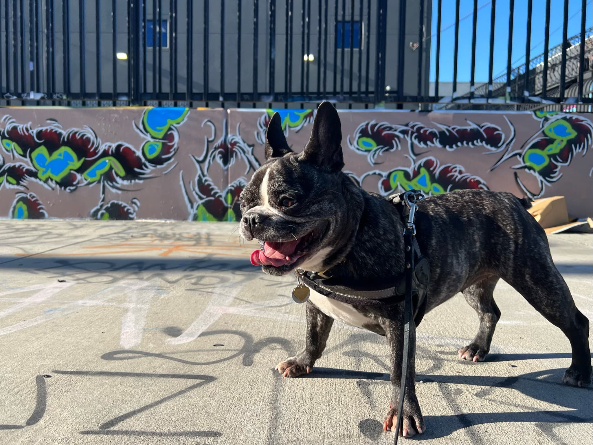 Maddie standing in front of street art in Arts District, Los Angeles