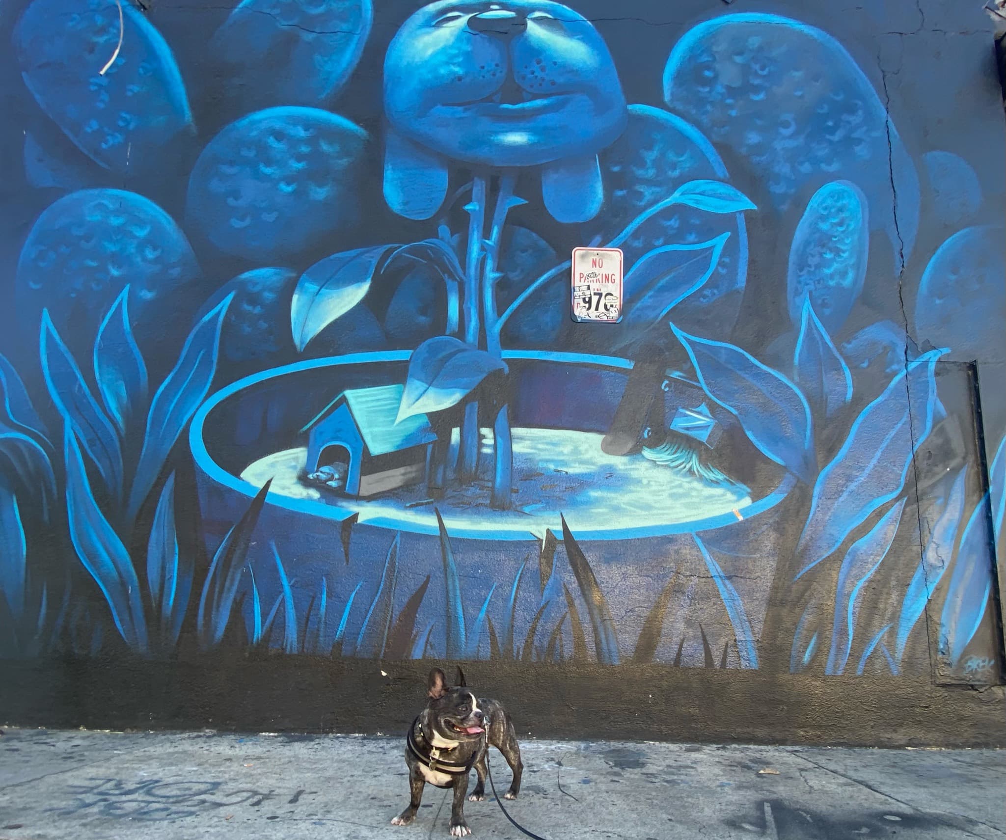 Maddie standing in front of street art in Arts District, Los Angeles