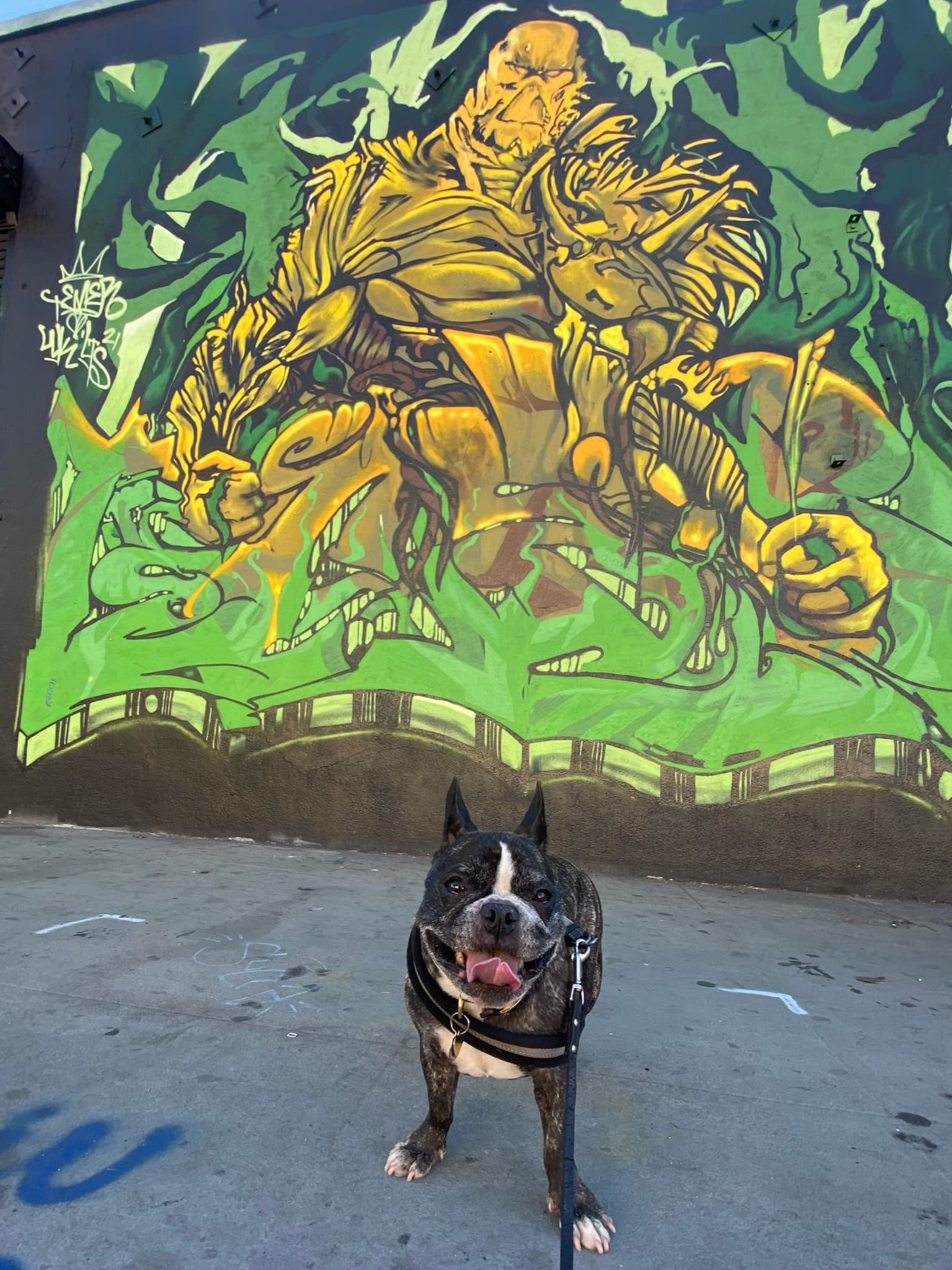 Maddie standing in front of street art in Arts District, Los Angeles