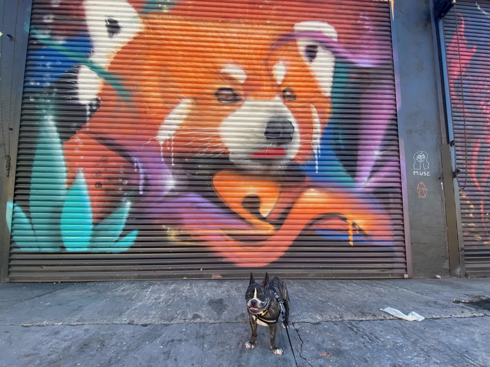 Maddie standing in front of street art in Arts District, Los Angeles
