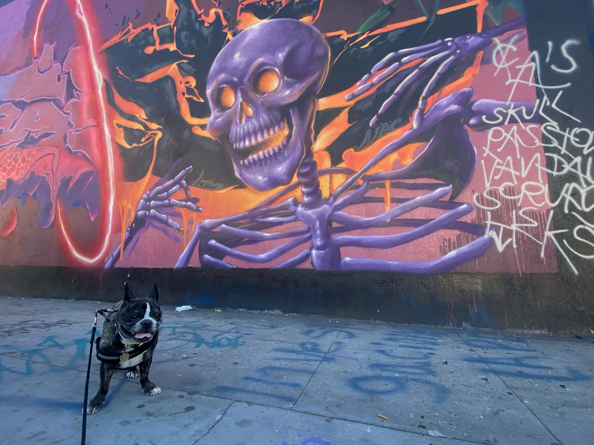 Maddie standing in front of street art in Arts District, Los Angeles