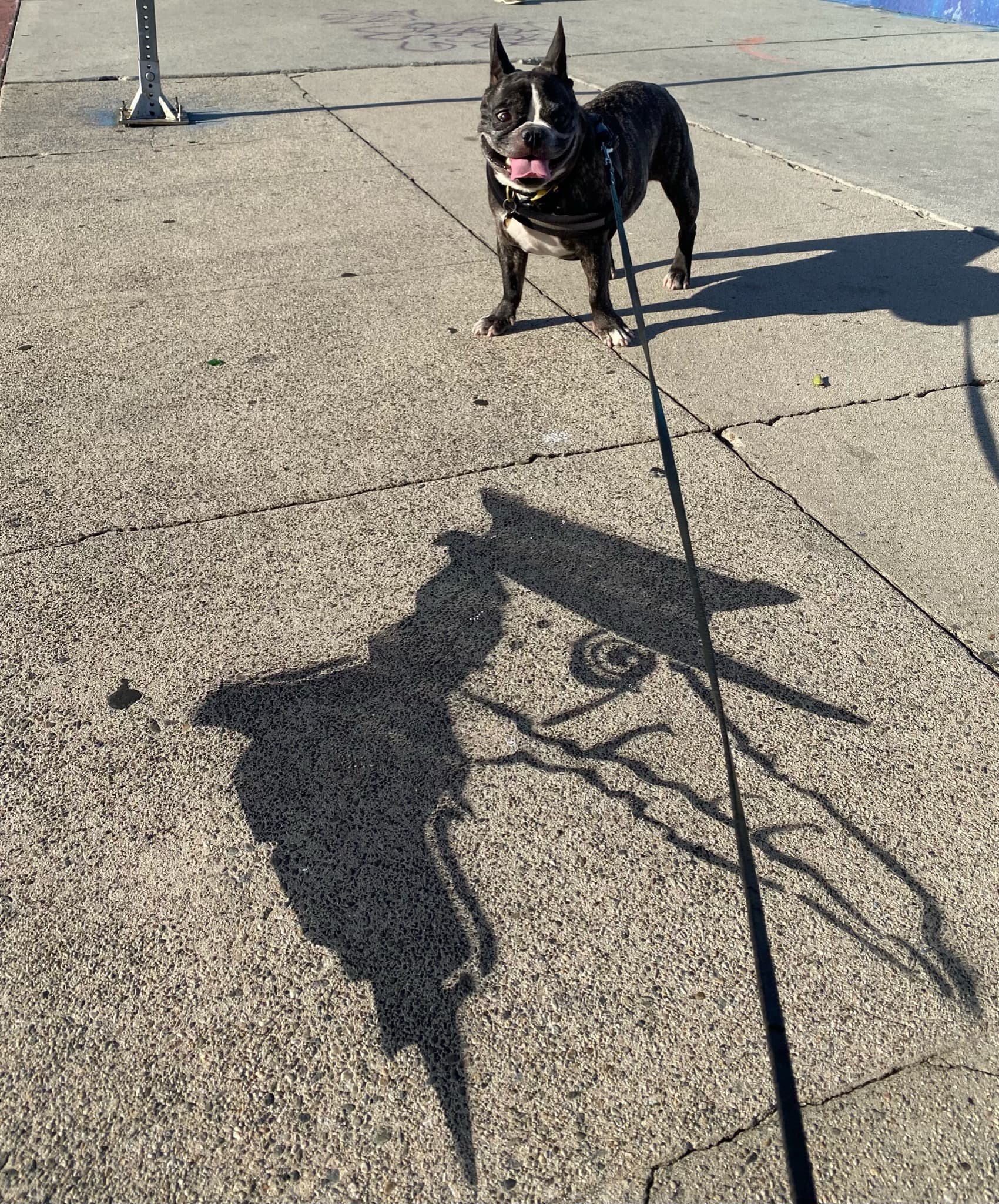 Maddie standing in front of street art in Arts District, Los Angeles