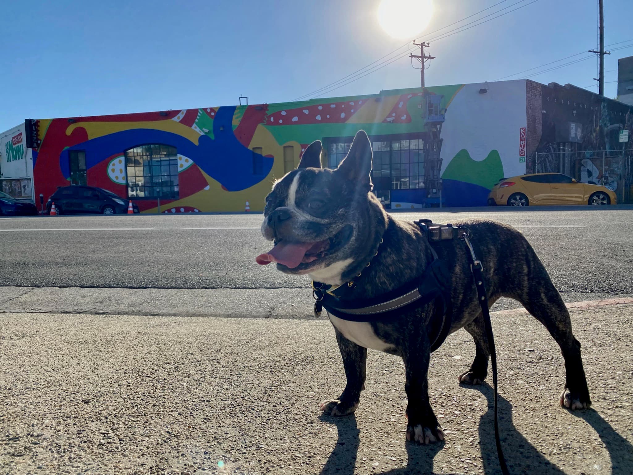 Maddie standing in front of street art in Arts District, Los Angeles