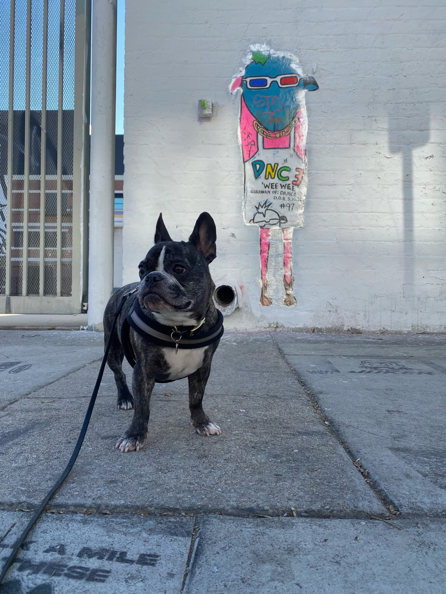 Maddie standing in front of street art in Arts District, Los Angeles