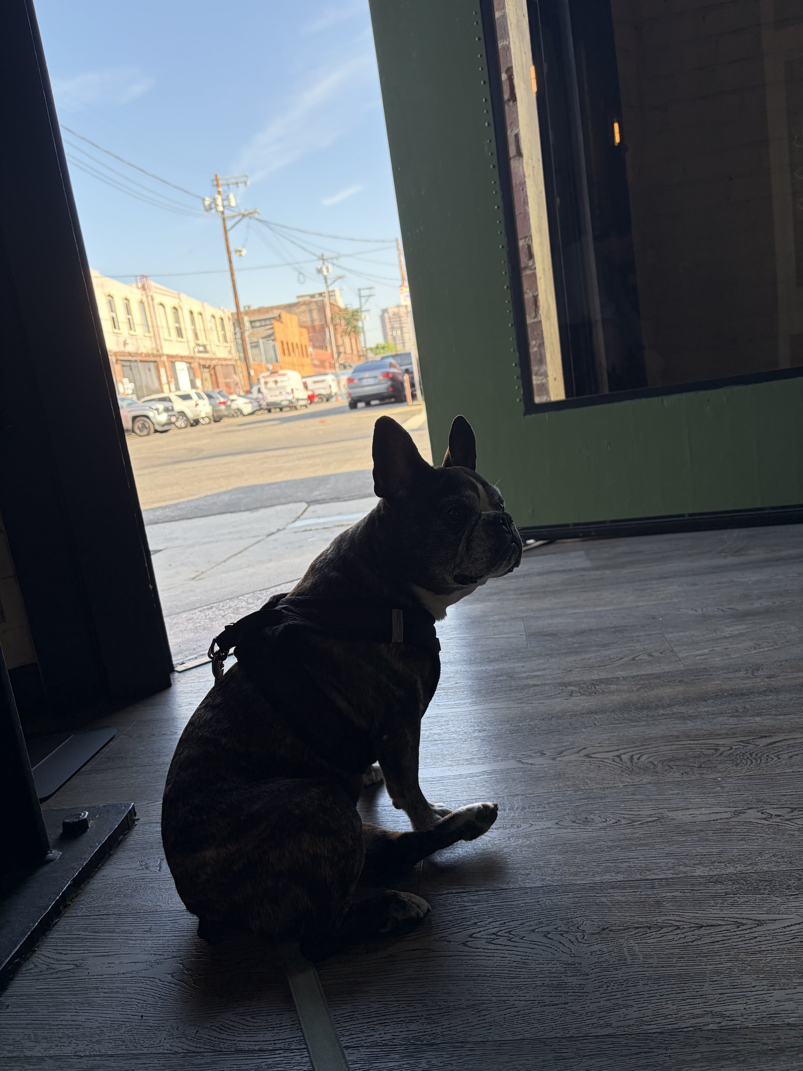 Maddie in a coffee shop