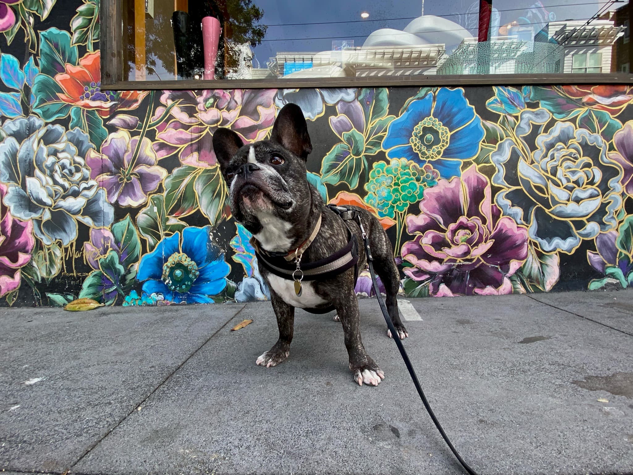 Maddie standing in front of street art in Lower Haight, San Francisco