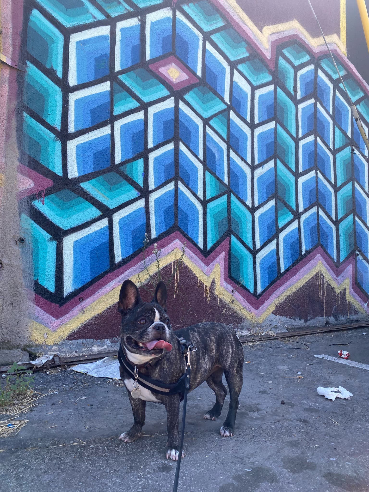 Maddie standing in front of street art in Arts District, Los Angeles