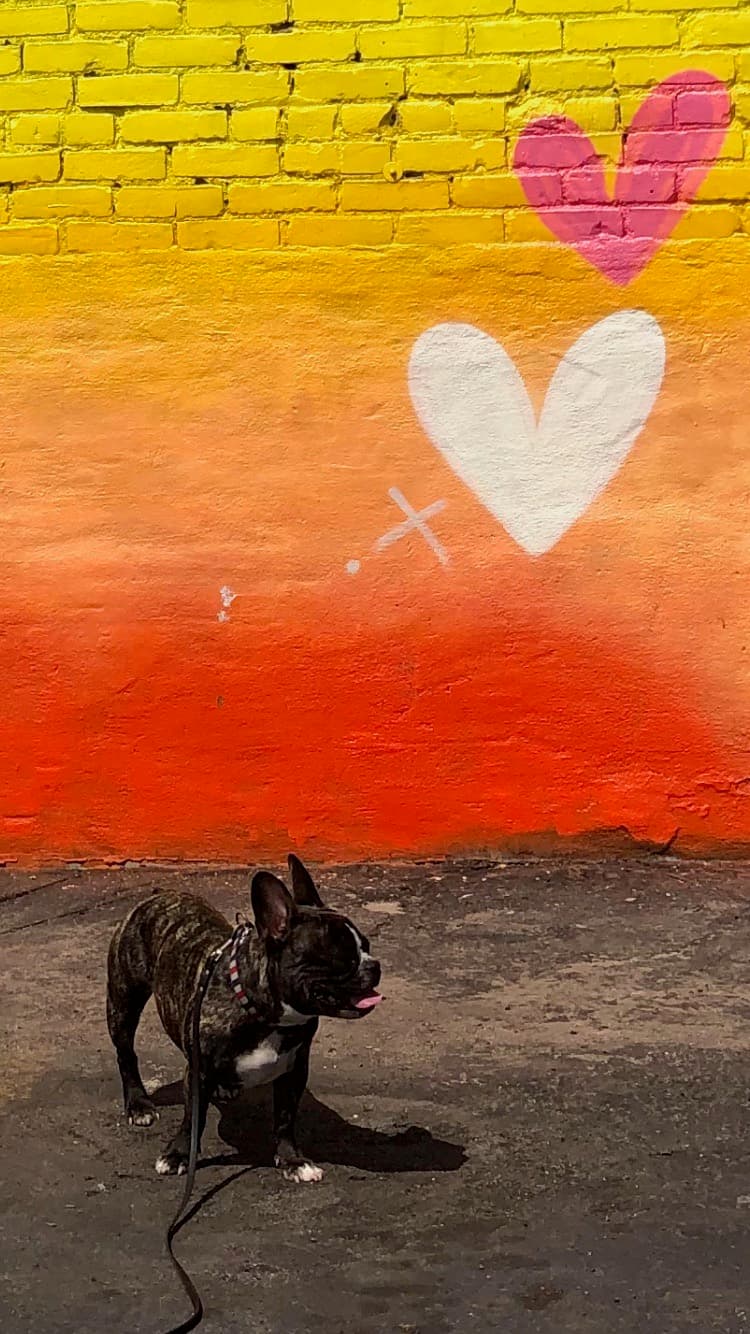 Maddie standing in front of street art in Needs location, Location unknown