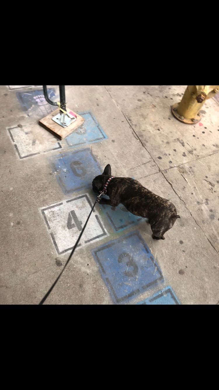 Maddie standing in front of street art in Needs location, Location unknown