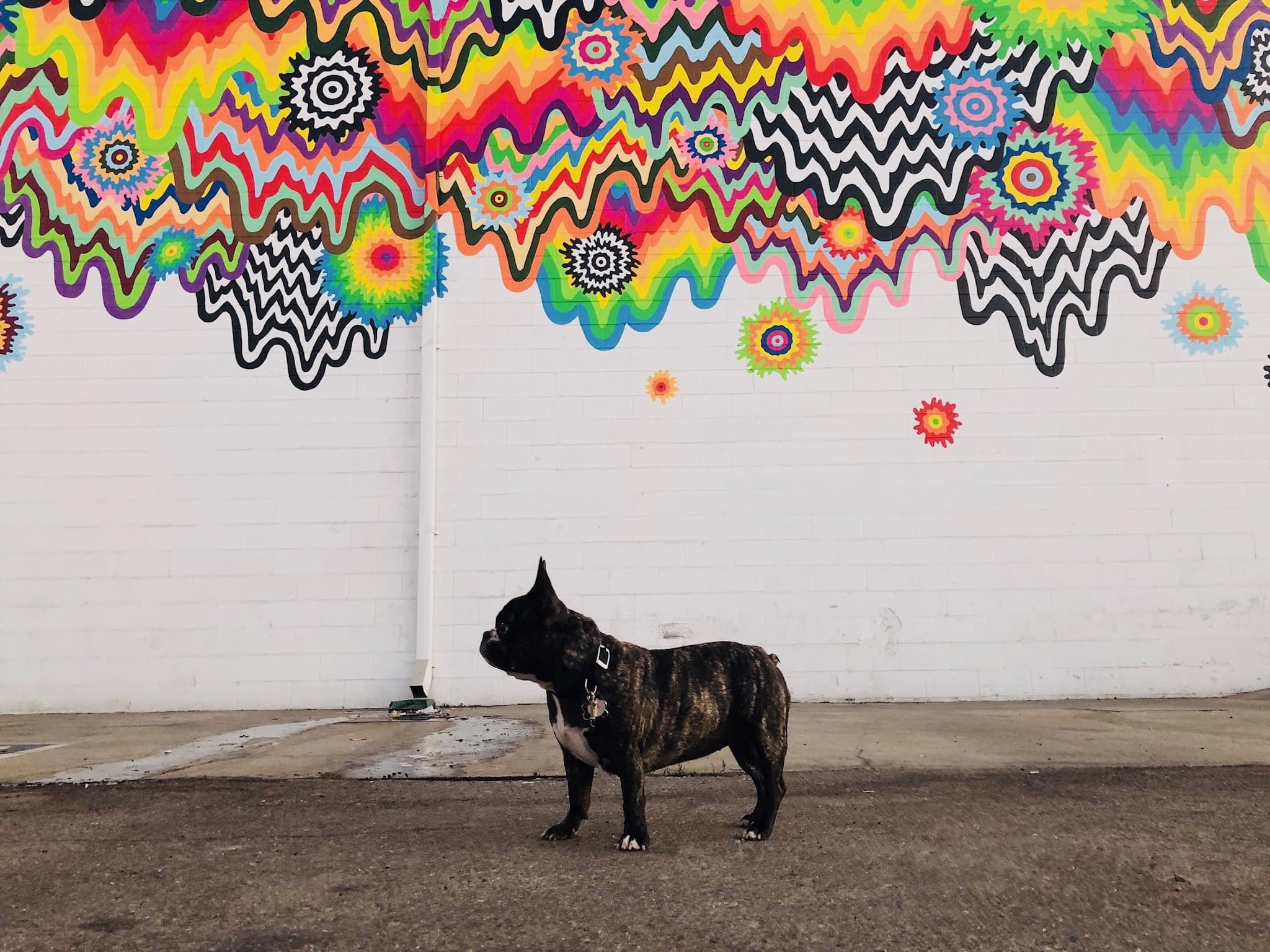 Maddie standing in front of street art in Needs location, Location unknown