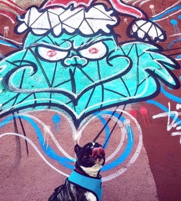 Maddie standing in front of street art in Needs location, Location unknown