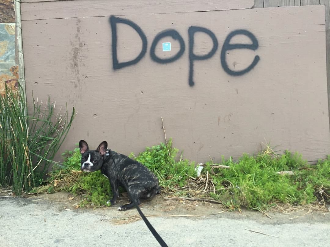 Maddie standing in front of street art in Needs location, Location unknown