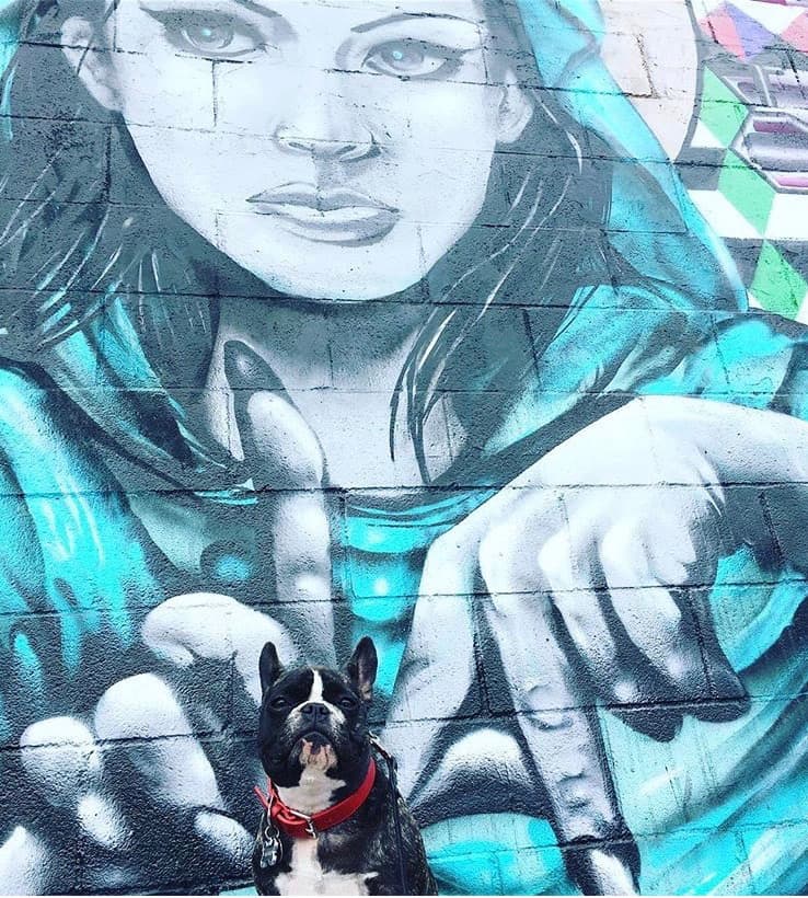 Maddie standing in front of street art in Needs location, Location unknown